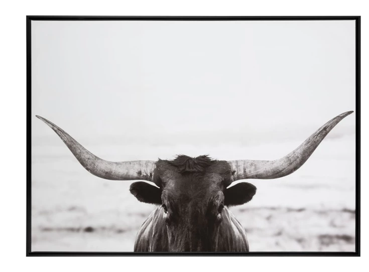 97033 J-Line Jolipa kader stier