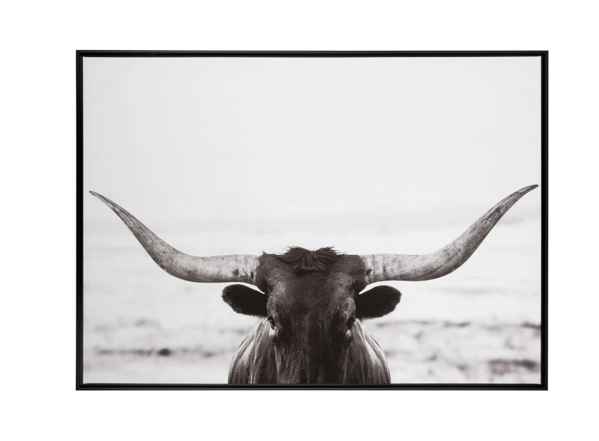 97033 J-Line Jolipa kader stier