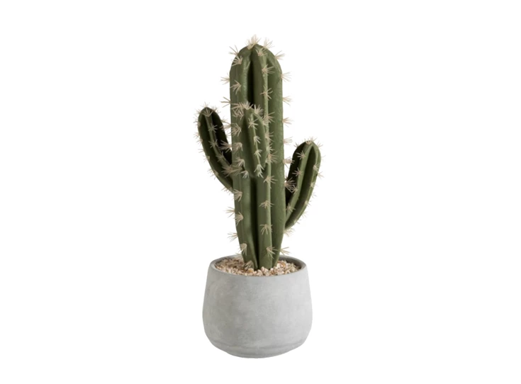 80452 Jolipa J-Line Kunststof Cactus in cement pot
