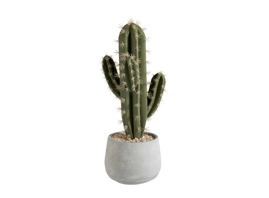 80452 Jolipa J-Line Kunststof Cactus in cement pot