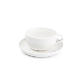 SP33061 kop en schotel 22cl