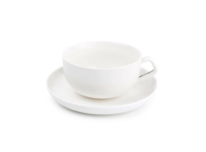 SP33061 kop en schotel 22cl