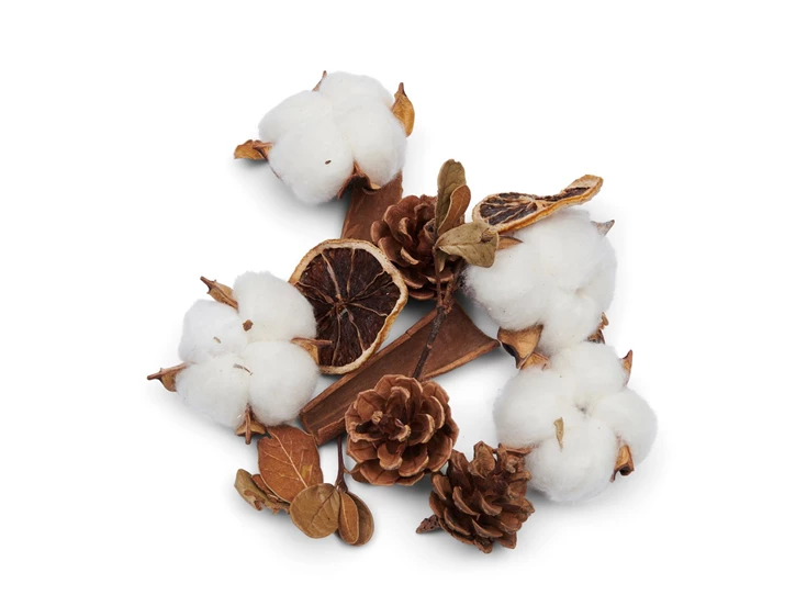 523560 rm autumn decoration natuurlijke elementen tafeldecoratie rivièra maison