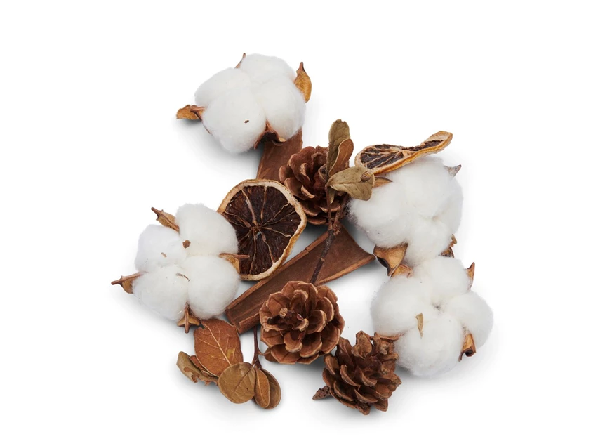 523560 rm autumn decoration natuurlijke elementen tafeldecoratie rivièra maison