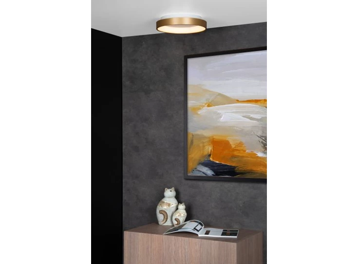 46103-20-02 plafondlamp LUCIDE Vidal Sfeer