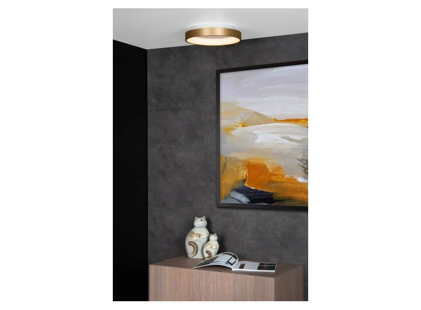 46103-20-02 plafondlamp LUCIDE Vidal Sfeer