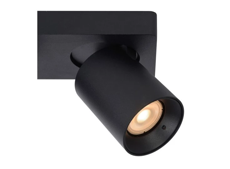 09929-10-30 Nigel Lucide Detail