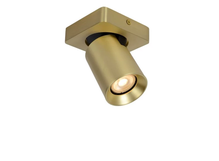 09929-05-02 Nigel Lucide Draaibaar