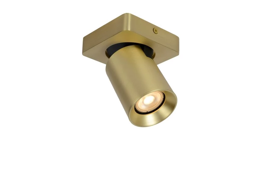 09929-05-02 Nigel Lucide Draaibaar