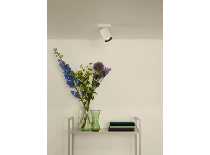 09929-05-31 Nigel Lucide Sfeer