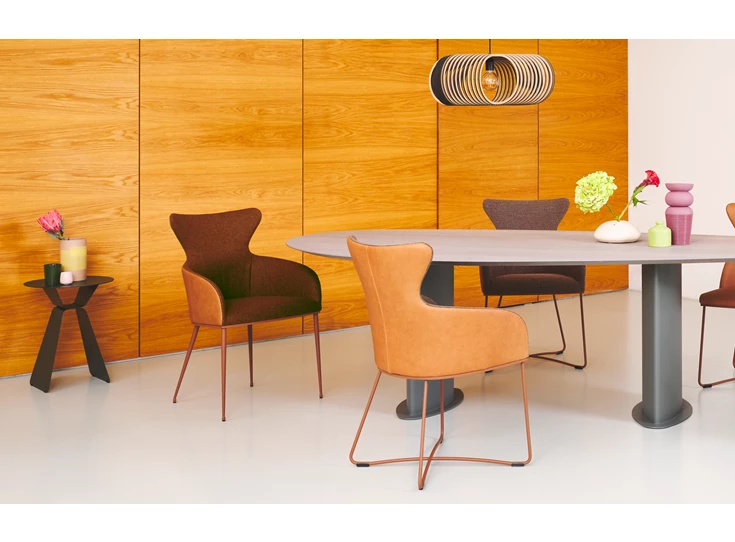 Sfeerfoto Armstoel Iuno Slede I21 combi leder stof Bert Plantagie