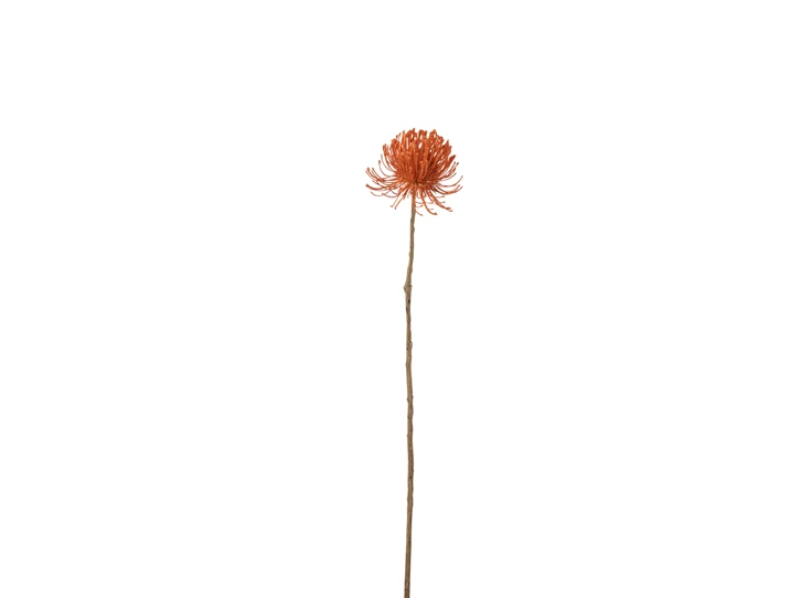 Leucospermum plastiek oranje L - 12121