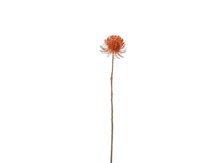 Leucospermum plastiek oranje L - 12121