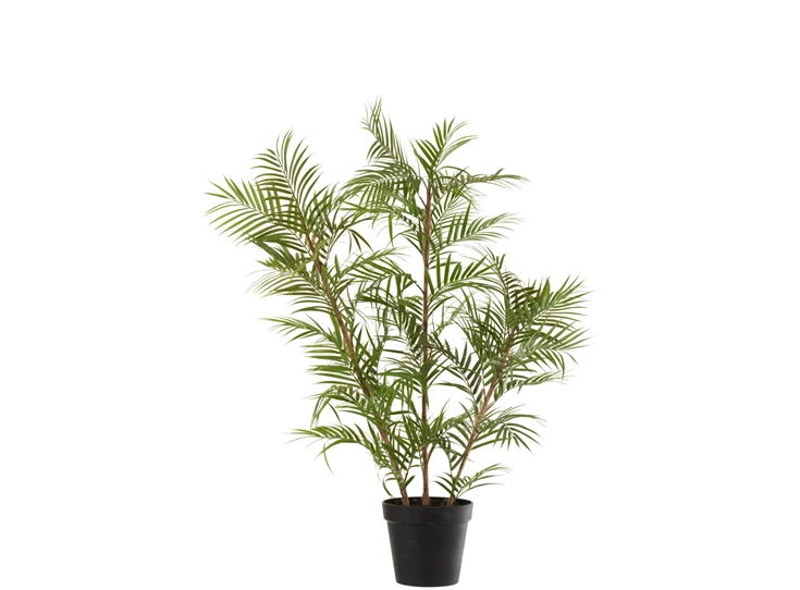 Plastieke bergpalm in pot- groen/zwart L- vooraanzicht