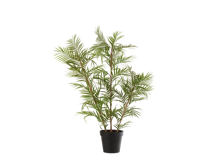 Plastieke bergpalm in pot- groen/zwart L- vooraanzicht