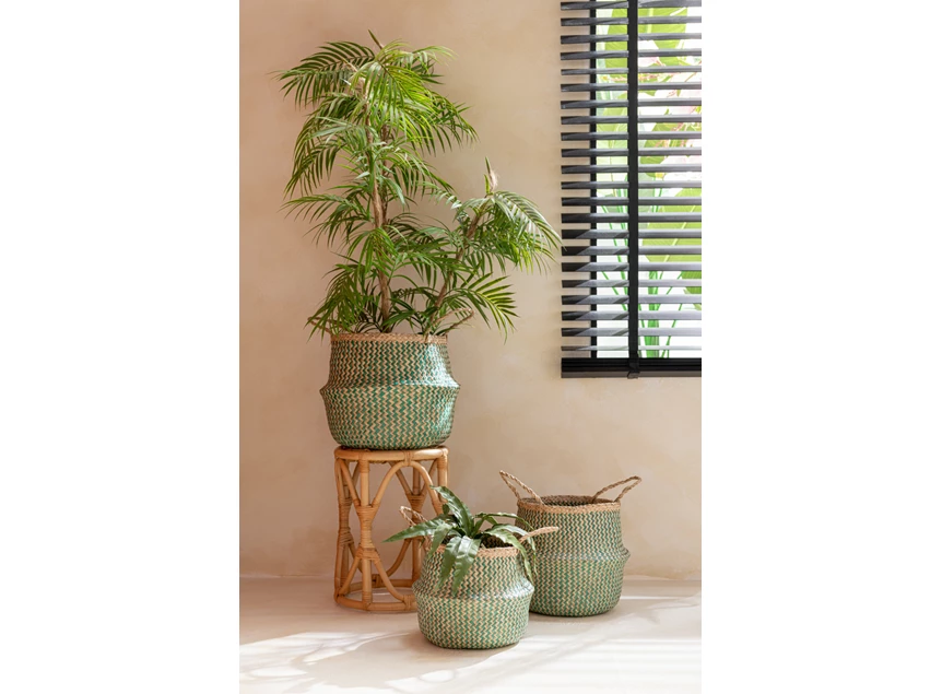 Plastieke bergpalm in pot- groen/zwart L- sfeerbeeld