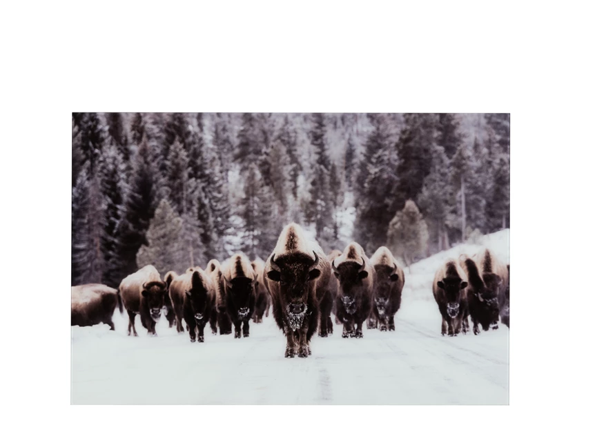 Wanddeco buffel sneeuw- getemperd glas- mix- 28788