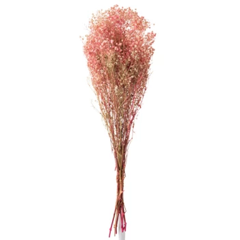 Bundel gypsophilia- gedroogd- roze- 12370