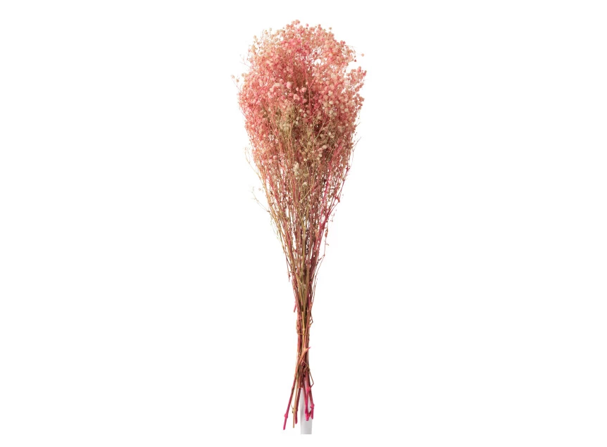 Bundel gypsophilia- gedroogd- roze- 12370
