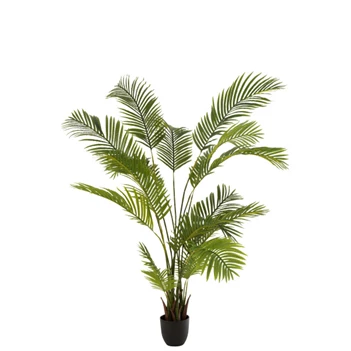 Chrysalidocarpus in pot- plastiek- groen- 12532