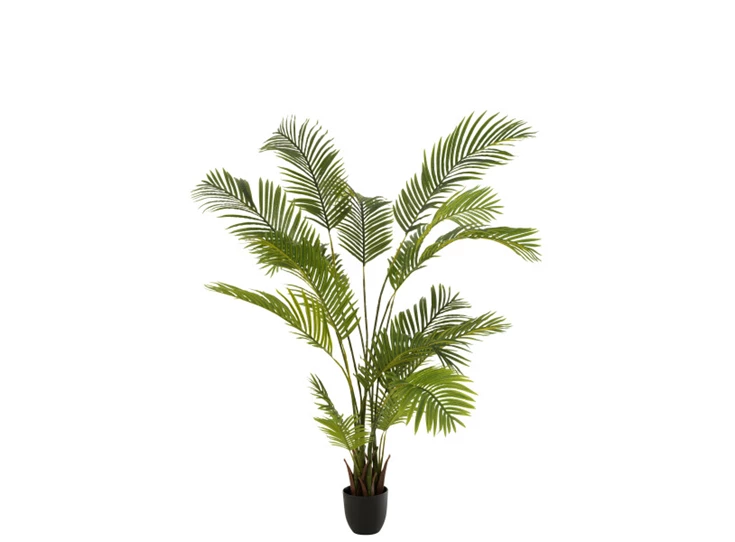 Chrysalidocarpus in pot- plastiek- groen- 12532