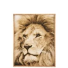 Wanddecoratie leeuw- hout/glas- bruin- 18519