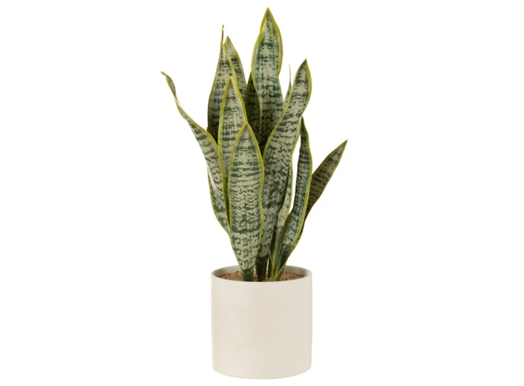 Plant sansevieria in pot- pvc- groen- extra large- 33023