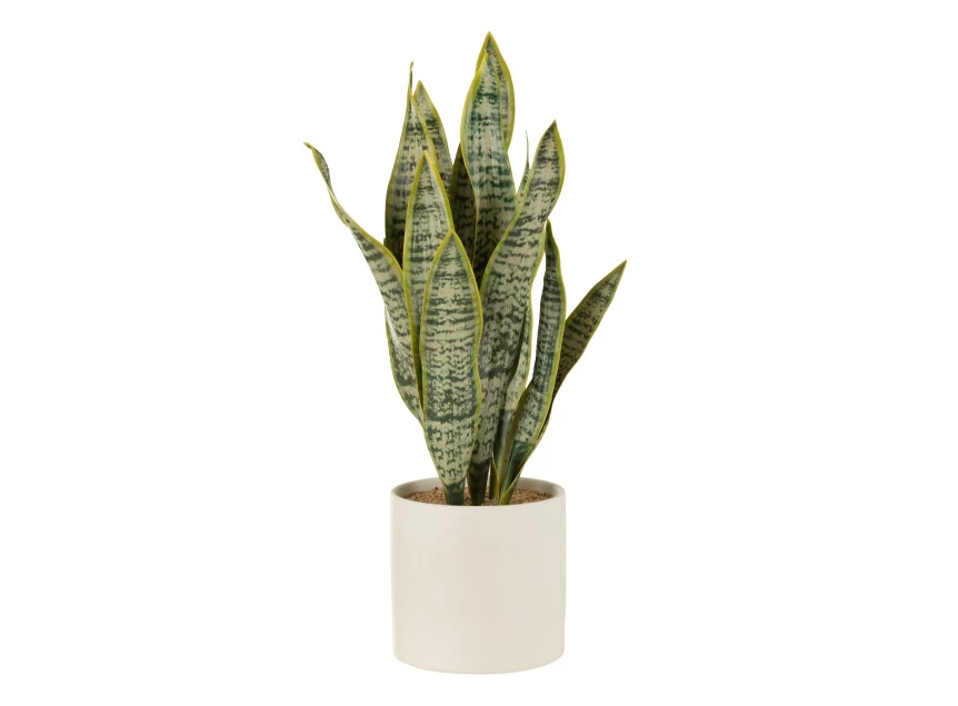 Plant sansevieria in pot- pvc- groen- extra large- 33023
