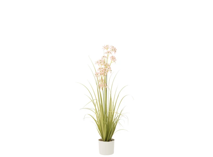 Allium in pot- plastiek- groen/roze- medium- 33034