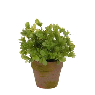 1387 J-Line Jolipa Kunstplant Buxus in Potje Ø12cm H22cm