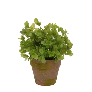 1387 J-Line Jolipa Kunstplant Buxus in Potje Ø12cm H22cm