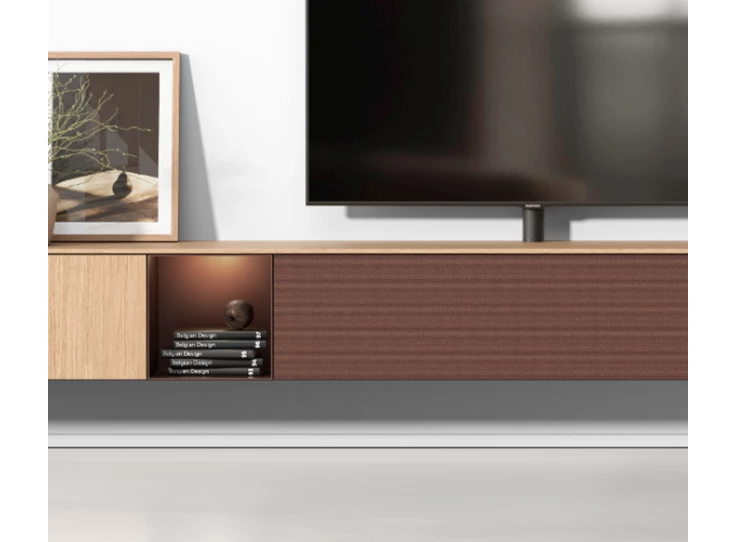 Ron Audio met tv paal