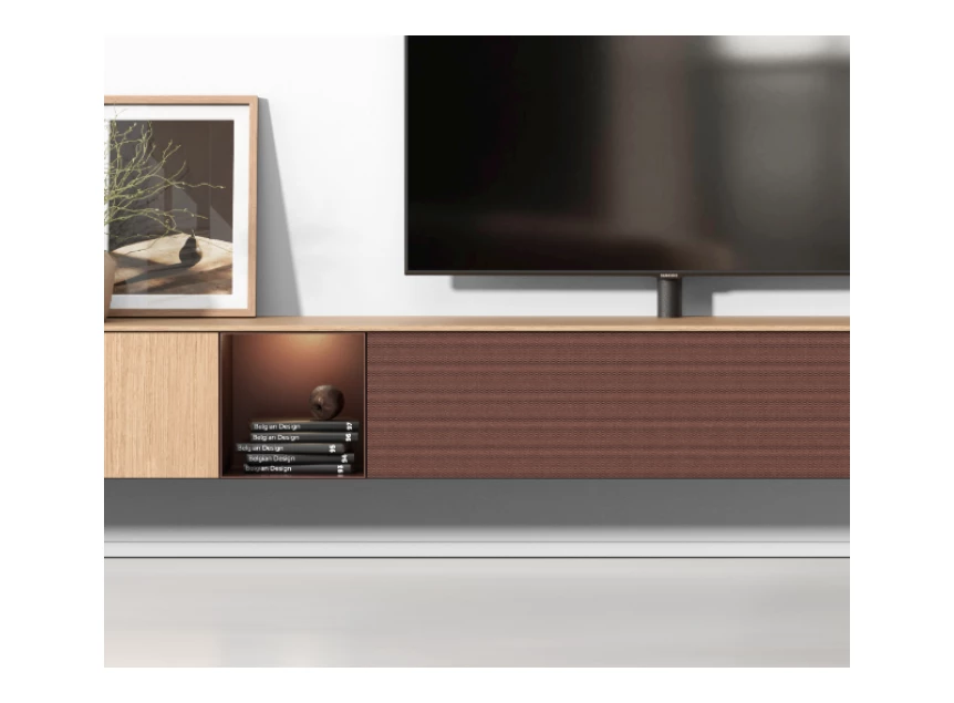 Ron Audio met tv paal