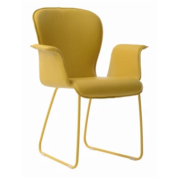 Armstoel Blake Slede Gesloten Arm 631A leder Bert Plantagie