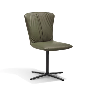 Stoel Dexter lage stervoet 2059.1 Draenert