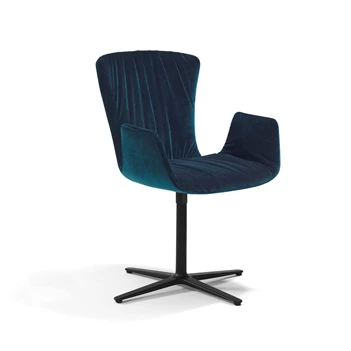 Armstoel Dexter lage stervoet 2059.1-I Draenert