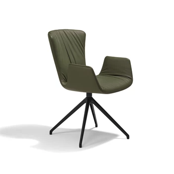 Armstoel Dexter hoge stervoet 2059.2-I Draenert