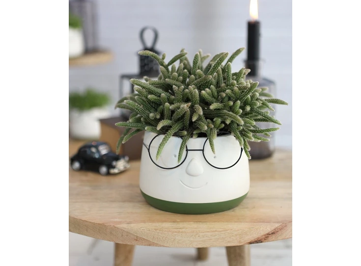 Pot met bril- Ø12 H9cm- sfeerbeeld