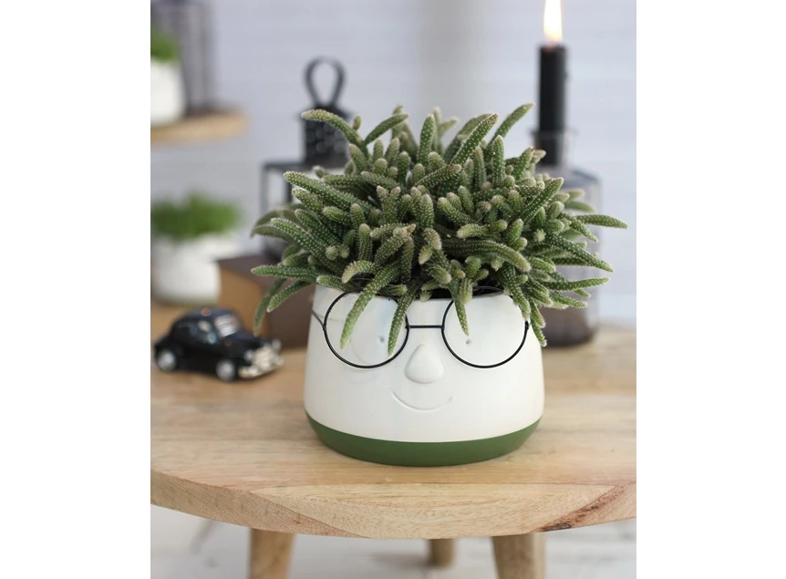 Pot met bril- Ø12 H9cm- sfeerbeeld