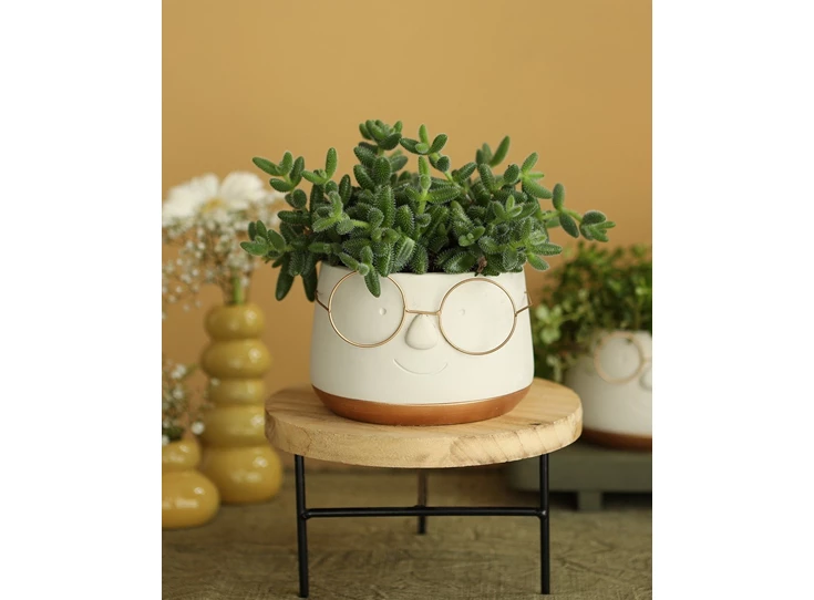 Pot met bril- goud- Ø13,5 H10,5cm- sfeerbeeld