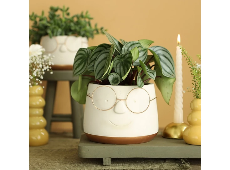 Pot met bril- goud- Ø16 H11,5cm- sfeerbeeld