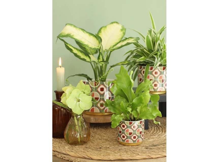 Retro pot- fushia black- Ø11,5 h11cm- sfeerbeeld