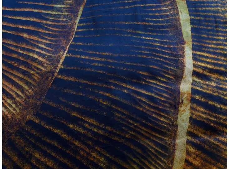 Kayori Aichi satijn dekbedovertrek 240x200/220 detail tekening