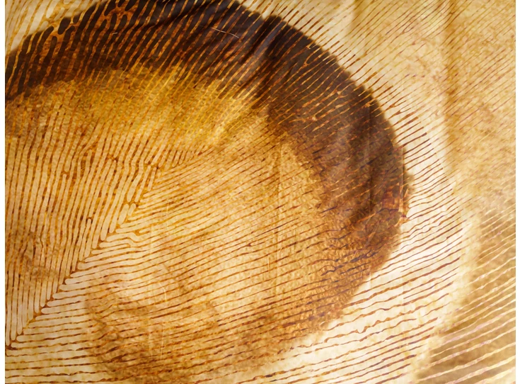 Kayori- Ikeda- satijn- dekbedovertrek- 140/200-220- detail