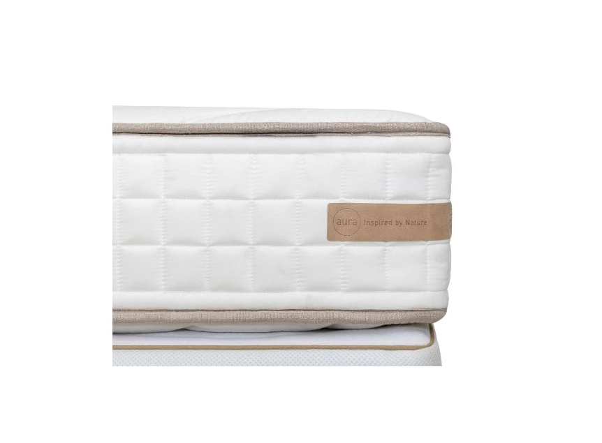 Recor Aura Renew 02.jpg