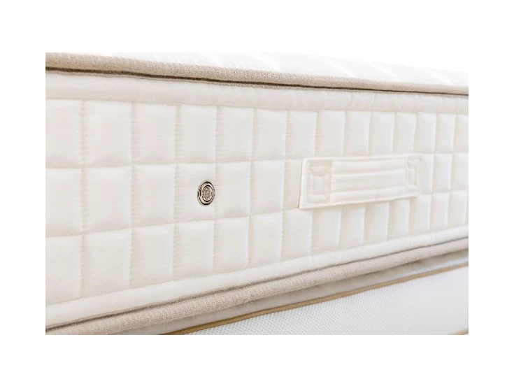 Recor Aura Renew 03.jpg