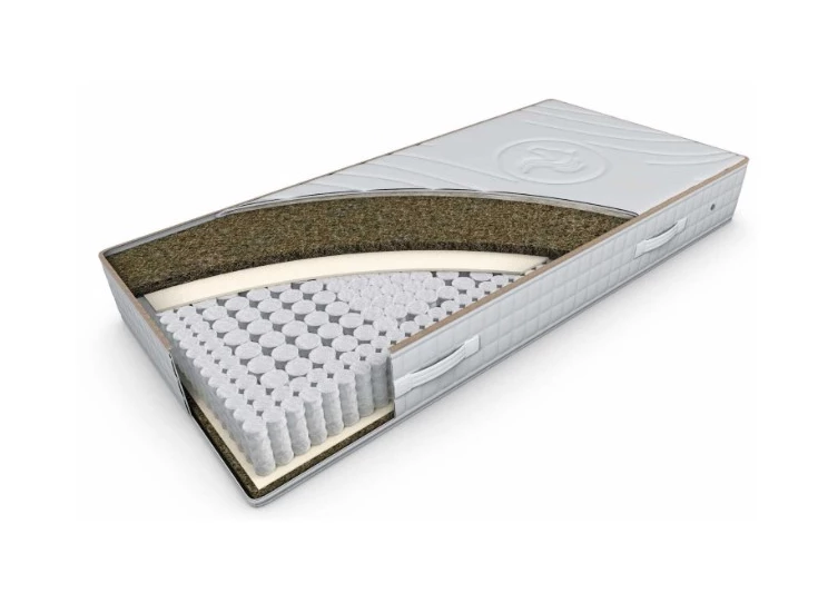 Recor Aura Renew 04.jpg