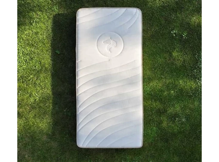 Recor Aura Renew 05.jpg