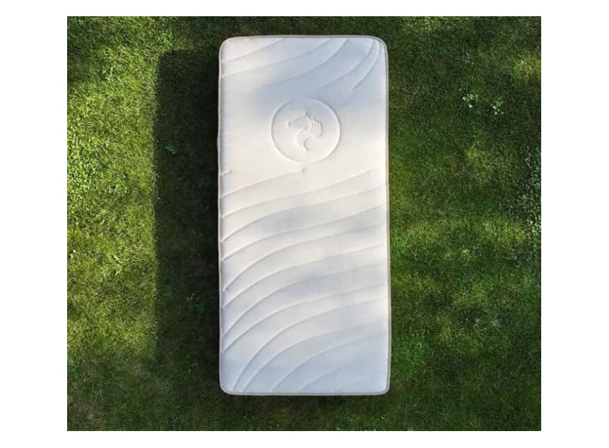 Recor Aura Renew 05.jpg