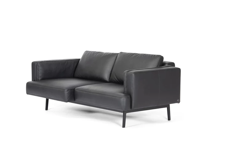 Zijkant Zetel canapé 2-zit Laviva DS-747 leder zwart De Sede